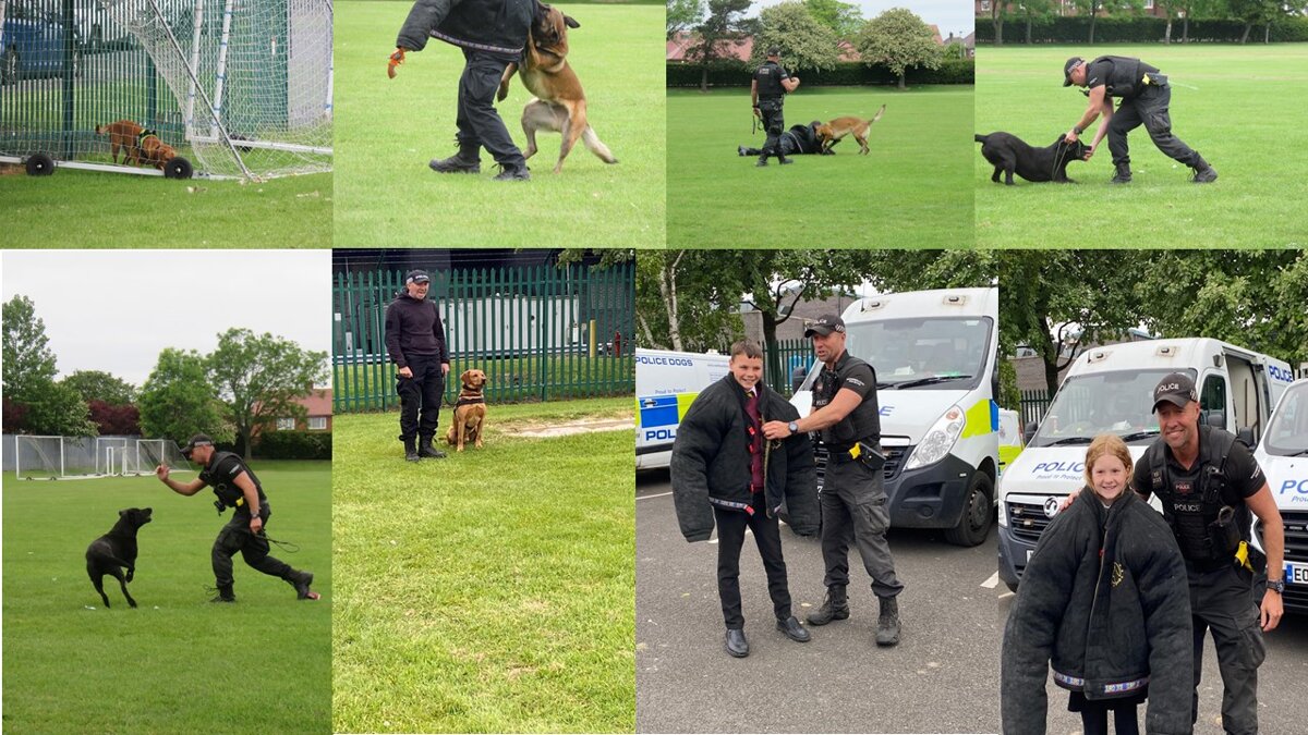 Image of Forensics and Police Dogs at Whytrig this week