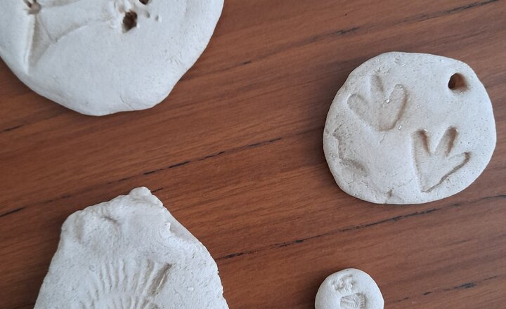 Image of SSMS - Year 6 - Making Fossils with Salt Dough