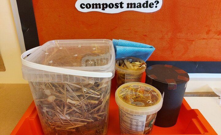 Image of Busy SSMS Scientists get Composting and Baking!